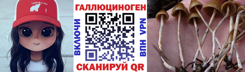 Галлюциногенные грибы Psilocybe  hydra маркетплейс  Родники 