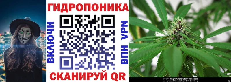 Бошки марихуана ГИДРОПОН Родники